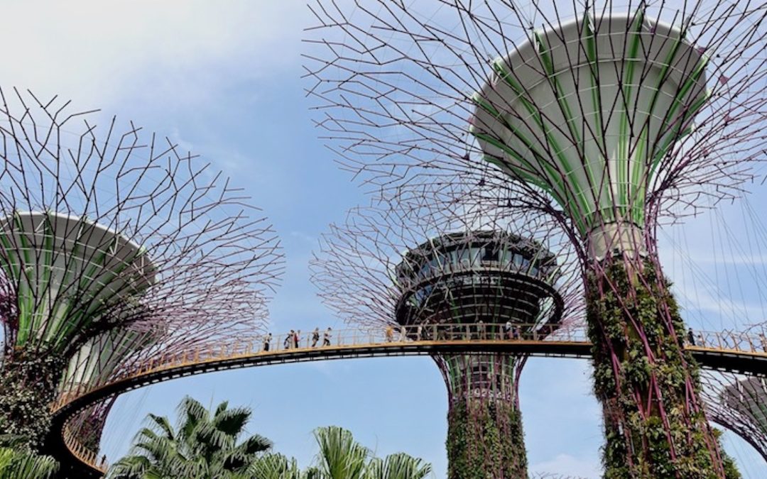 Abreise und Aufenthalt in Singapur