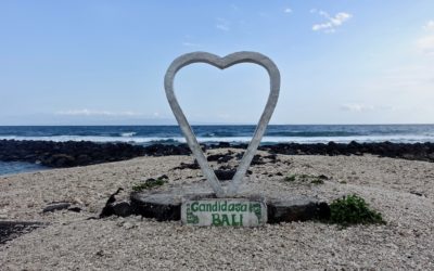 Monkey Forest und Candidasa